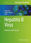 Hepatitis B Virus : Methods and Protocols - eBook