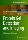 Protein Gel Detection and Imaging : Methods and Protocols - eBook
