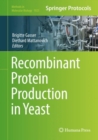 Recombinant Protein Production in Yeast - eBook