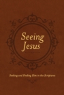Seeing Jesus - eBook
