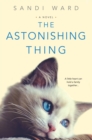 The Astonishing Thing - eBook