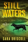 Still Waters : A Riveting Novel of Suspense - eBook