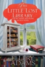 The Little Lost Library - Book