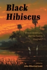 Black Hibiscus : African Americans and the Florida Imaginary - eBook