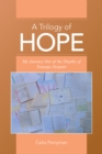 A Trilogy of Hope : My Journey out of the Depths of Teenage Despair - eBook