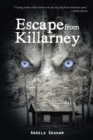 Escape from Killarney - eBook