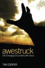 Awestruck : Life-Changing Encounters with Jesus - eBook