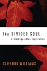 The Divided Soul : A Kierkegaardian Exploration - eBook