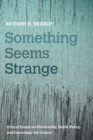Something Seems Strange : Critical Essays on Christianity, Public Policy, and Contemporary Culture - eBook