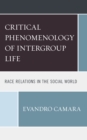 The Critical Phenomenology of Intergroup Life : Race Relations in the Social World - Book