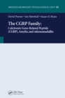 The CGRP Family : Calcitonin Gene-Related Peptide (CGRP), Amylin and Adrenomedullin - eBook