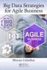 Big Data Strategies for Agile Business - eBook