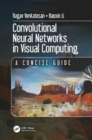 Convolutional Neural Networks in Visual Computing : A Concise Guide - Book