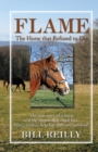 Flame - the Horse That Refused to Die - eBook