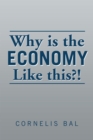 Why Is the Economy Like This?! - eBook