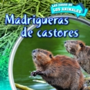 Madrigueras de castores (Inside Beaver Lodges) - eBook