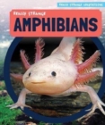 Really Strange Amphibians - eBook
