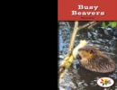 Busy Beavers - eBook