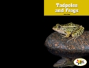 Tadpoles and Frogs - eBook