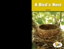 A Bird's Nest - eBook