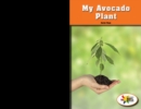 My Avocado Plant - eBook