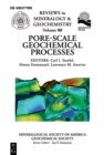 Pore Scale Geochemical Processes - eBook