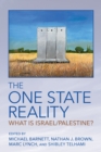 The One State Reality : What Is Israel/Palestine? - eBook