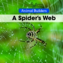 A Spider's Web - eBook
