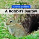 A Rabbit's Burrow - eBook