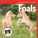 Foals - eBook