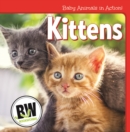 Kittens - eBook