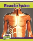 The Human Muscular System - eBook