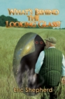 What'S Behind the Looking Glass? - eBook