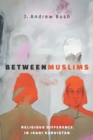 Between Muslims : Religious Difference in Iraqi Kurdistan - Book