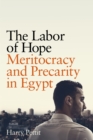 The Labor of Hope : Meritocracy and Precarity in Egypt - Book