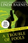 A Trouble of Fools - eBook