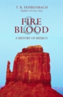 Fire & Blood : A History of Mexico - Book