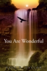 You Are Wonderful : A Devotional Insight into the Names and Descriptions of God and Jesus in the Bible - eBook