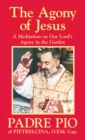 The Agony of Jesus - eBook