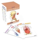Anatomy Flashcards: 300 Flashcards with Anatomically Precise Drawings and Exhaustive Descriptions - Book