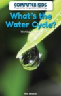 What's the Water Cycle? : Working in a Loop - eBook