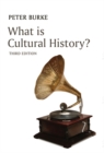 What is Cultural History? - Book