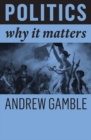 Politics : Why It Matters - eBook