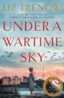 Under a Wartime Sky - Book