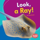 Look, a Ray! - eBook