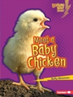 Meet a Baby Chicken - eBook