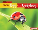 From Egg to Ladybug - eBook