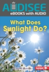 What Does Sunlight Do? - eBook
