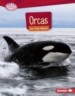 Orcas on the Hunt - eBook