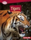Tigers on the Hunt - eBook